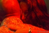 IMG__23627